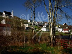 King's Cove